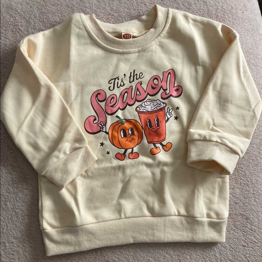 Fall toddler sweatshirt NWOT